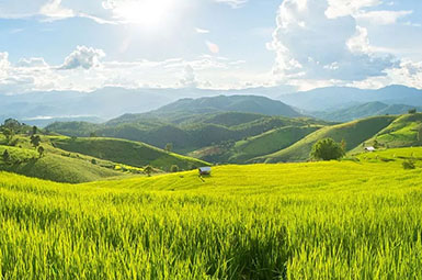 河南明泓会展-2024年全球国际农业技术设备行业展会计划表